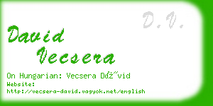 david vecsera business card